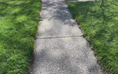 Photo of Kate A.'s yard after getting lawn care in Madison Heights, MI