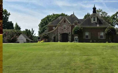 Photo of Genevieve T.'s yard after getting lawn care in Senatobia, MS