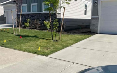 Photo of Patricia S.'s yard after getting lawn care in Payson, UT