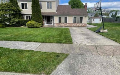 Photo of Elisha J.'s yard after getting lawn care in Camden, NJ