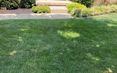 Photo of Henrietta L.'s yard after getting lawn care in Lexington, KY