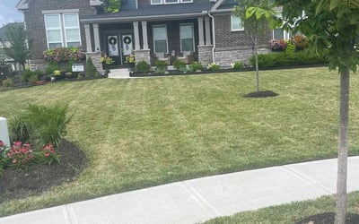 Photo of Amy L.'s yard after getting lawn care in Mason, OH