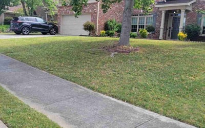 Photo of Kristen T.'s yard after getting lawn care in Provo, UT