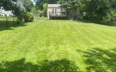Photo of William T.'s yard after getting lawn care in Massillon, OH