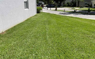 Photo of Alexis R.'s yard after getting lawn care in Oviedo, FL