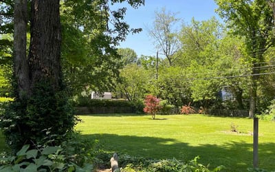 Photo of Jacob M.'s yard after getting lawn care in Lafayette, IN