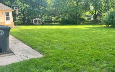 Photo of Pamela C.'s yard after getting lawn care in Perrysburg, OH