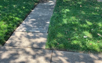 Photo of Kyle C.'s yard after getting lawn care in Hillsboro, MO