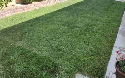 Photo of Kelley D.'s yard after getting lawn care in Las Vegas, NV