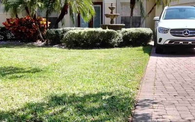 Photo of Angela J.'s yard after getting lawn care in Immokalee, FL