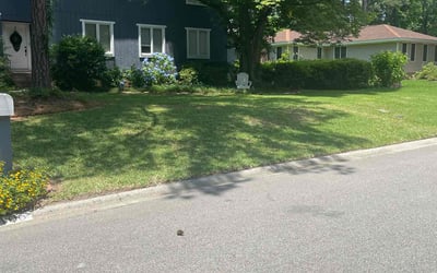 Photo of William C.'s yard after getting lawn care in Winnsboro, SC