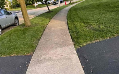 Photo of Sandra C.'s yard after getting lawn care in Joliet, IL
