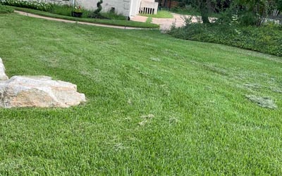 Photo of Cathrine A.'s yard after getting lawn care in Wimberley, TX