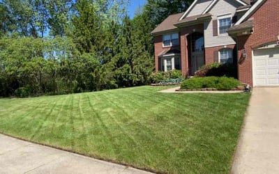 Photo of Tim L.'s yard after getting lawn care in Wixom, MI
