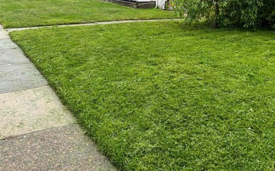 Photo of Madalyn B.'s yard after getting lawn care in Marcus Hook, PA