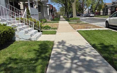 Photo of Dianne W.'s yard after getting lawn care in Normal, IL
