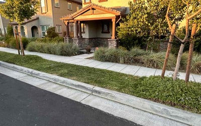 Photo of pete t.'s yard after getting lawn care in Tracy, CA