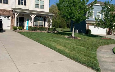 Photo of Jacob S.'s yard after getting lawn care in Midland, PA