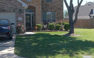 Photo of Holly M.'s yard after getting lawn care in Virginia Beach, VA