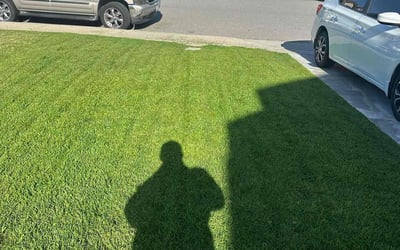 Photo of Melinda W.'s yard after getting lawn care in Ontario, CA