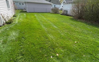 Photo of Alpheus L.'s yard after getting lawn care in Roseville, MI