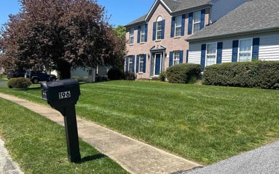 Photo of Jaye D.'s yard after getting lawn care in Newark, DE