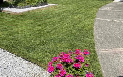 Photo of Brian H.'s yard after getting lawn care in West Bloomfield, MI