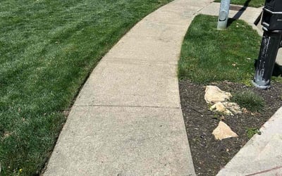 Photo of Alan L.'s yard after getting lawn care in Kansas City, MO
