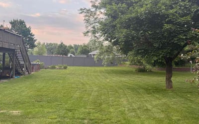 Photo of Sharon W.'s yard after getting lawn care in Burton, MI
