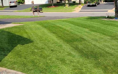 Photo of Kristen S.'s yard after getting lawn care in Oak Park, MI