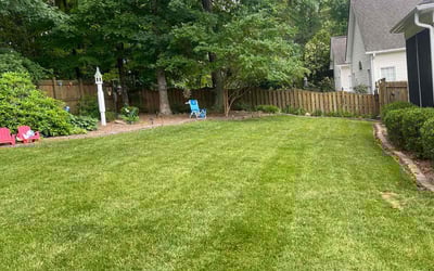 Photo of Steve A.'s yard after getting lawn care in Reidsville, NC