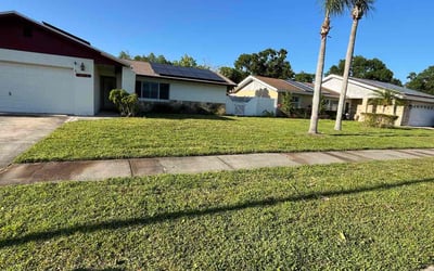 Photo of Ross M.'s yard after getting lawn care in Tampa, FL