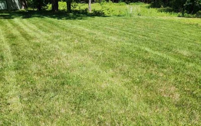 Photo of Amy G.'s yard after getting lawn care in Merrimack, NH