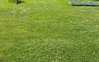 Photo of Nathan S.'s yard after getting lawn care in Lompoc, CA