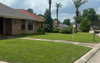 Photo of Jasmine J.'s yard after getting lawn care in Pearl River, LA