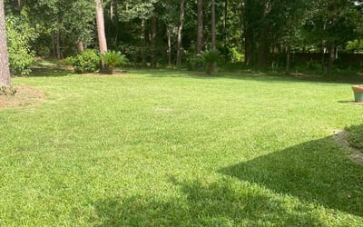 Photo of Mildred R.'s yard after getting lawn care in Lake Wales, FL