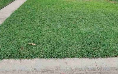 Photo of Natanya R.'s yard after getting lawn care in Denton, TX
