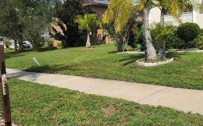 Photo of Alex A.'s yard after getting lawn care in Casselberry, FL