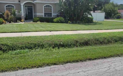 Photo of Shirley A.'s yard after getting lawn care in North Hollywood, CA