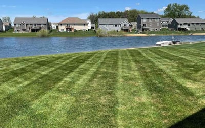 Photo of Kara C.'s yard after getting lawn care in Grand Haven, MI