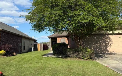 Photo of Yvonne M.'s yard after getting lawn care in Alexandria, LA