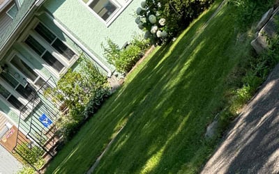 Photo of Denise L.'s yard after getting lawn care in Saint Paul, MN