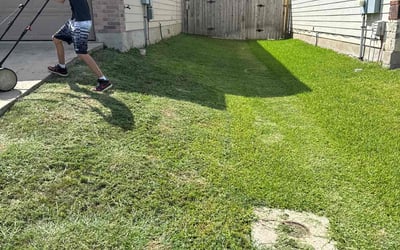 Photo of Bill B.'s yard after getting lawn care in Mansfield Center, CT