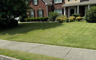 Photo of Paul A.'s yard after getting lawn care in Rincon, GA
