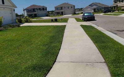 Photo of Patricia S.'s yard after getting lawn care in Palmetto, FL