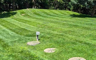 Photo of Ruben M.'s yard after getting lawn care in Elk River, MN