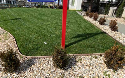 Photo of Rhema D.'s yard after getting lawn care in Pleasanton, CA