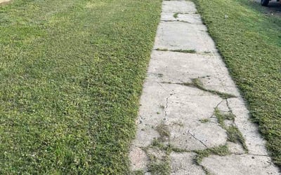 Photo of Roxann T.'s yard after getting lawn care in Dothan, AL