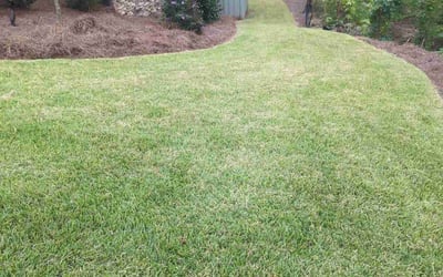 Photo of Rachel H.'s yard after getting lawn care in Lancaster, SC