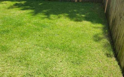 Photo of Sherry N.'s yard after getting lawn care in Navarre, FL
